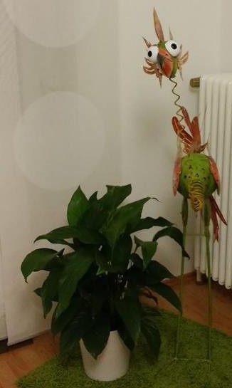Plastik in der Praxis Mira Schmidt-Lademann